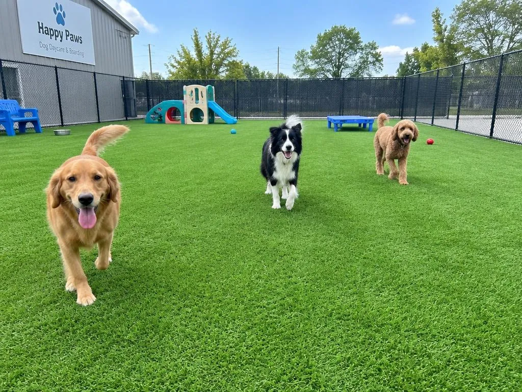 Dog Parks & Daycares